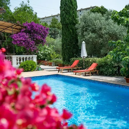 Maison 10 Pers, Jardin, Piscine, Petanque * טולון